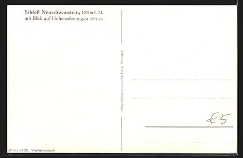 AK Schloss Neuschwanstein mit Blick auf Hohenschwangau und Gipfelpanorama