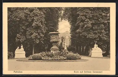 AK Potsdam, Blick zum Schloss Sanssouci
