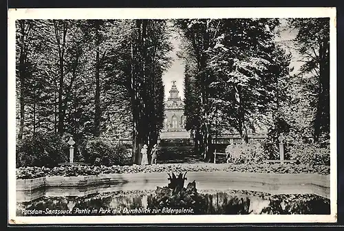 AK Potsdam, Schloss Sanssouci, Partie im Park mit Durchblick zur Bildergalerie