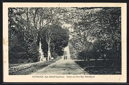 AK Potsdam, Königliches Schloss Sanssouci, Partie im Königlichen Schlosspark