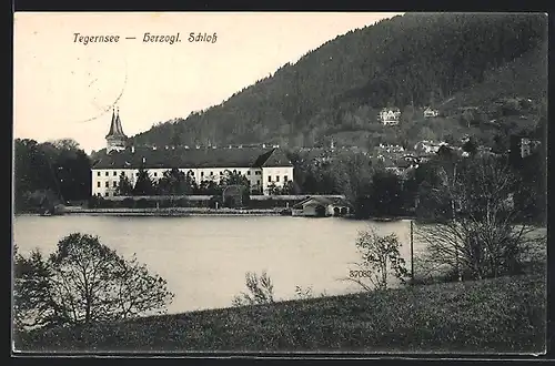 AK Tegernsee, Blick vom Seeufer auf das herzogl. Schloss