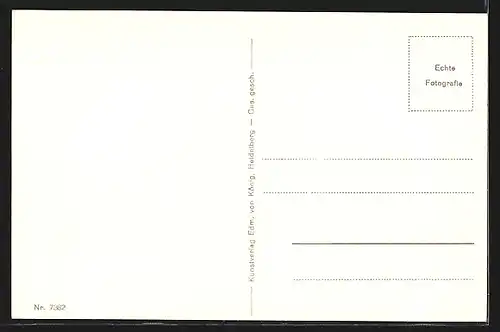 AK National-Denkmal und Rüdesheim