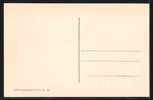 AK Rüdesheim, Niederwalddenkmal