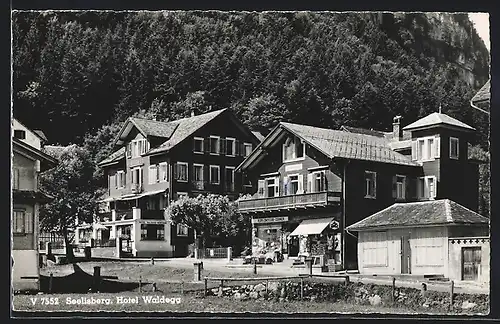 AK Seelisberg, Hotel Waldegg