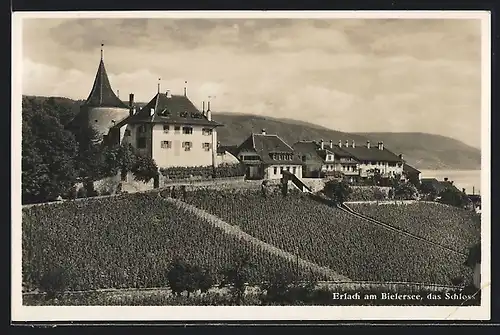 AK Erlach, Blick zum Schloss am Bielersee