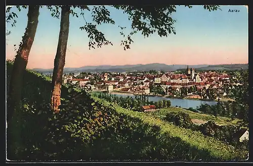 AK Aarau, Totalansicht