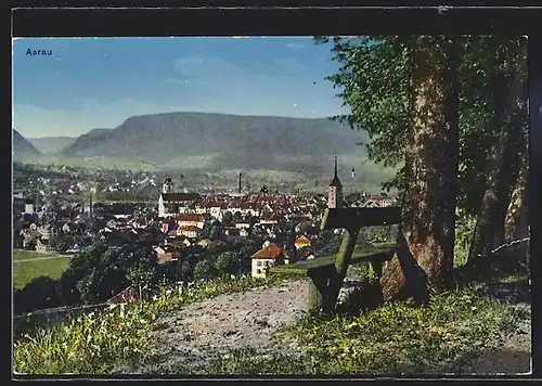 AK Aarau, Gesamtansicht