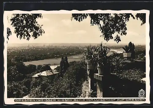 AK Dresden-Weisser Hirsch, Weisser Hirsch, Blick vom Luisenhof auf die Elbe und die Stadt