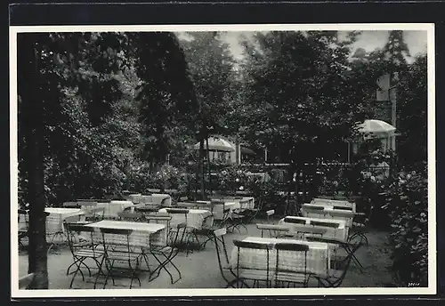 AK Dresden-Weisser Hirsch, Café-Konditorei Faust, Blick in den Garten