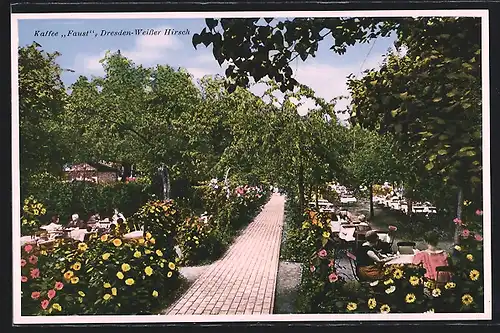 AK Dresden-Weisser Hirsch, Café & Konditorei Faust, Garten am Waldpark