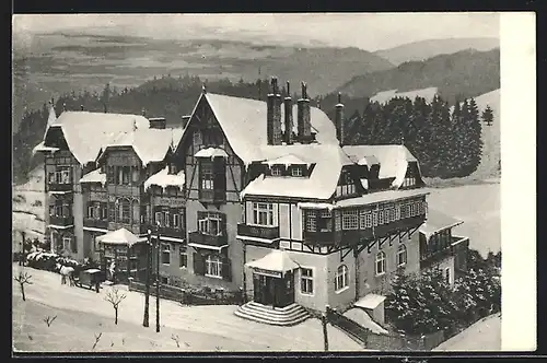 AK Steinhaus am Semmering, Hotel & Kuranstalt Stuhleckerhof