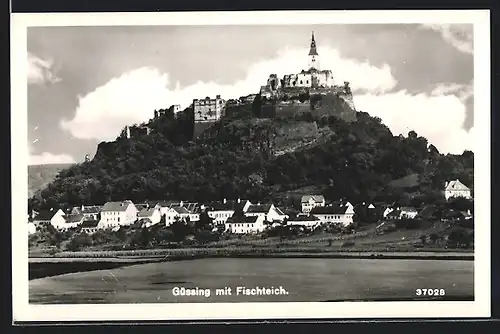 AK Güssing, Gesamtansicht mit Fischteich