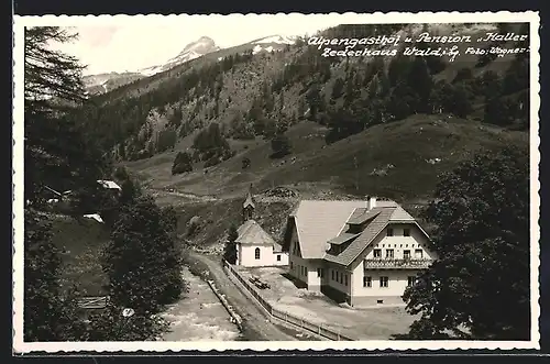 AK Zederhaus-Wald /Lungau, Alpengasthof und Pension Haller