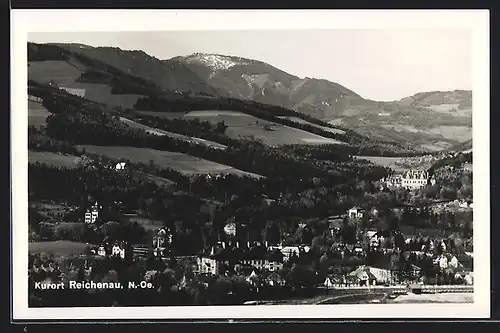 AK Reichenau, Totalansicht von einem Berg aus