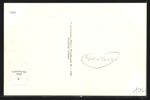 AK Reichenau, Totalansicht von einem Berg aus