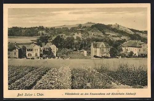 AK Bad Sulza i. Thür., Villenkolonie an den Emsenwehren mit Kinderheim Edelweiss