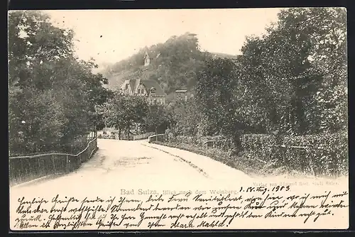AK Bad Sulza, Blick nach dem Weinberg