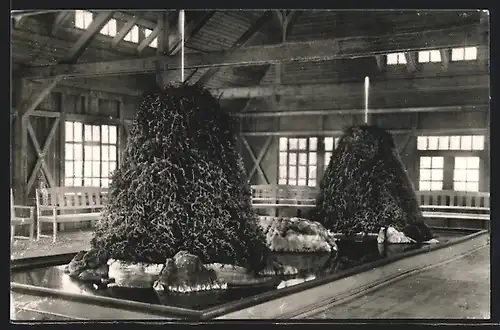 AK Bad Sulza in Thür., Zerstäuberhalle