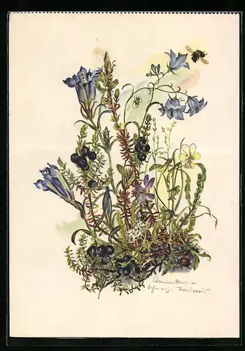 Künstler-AK Schwarz-Torino: Blaue Blumen mit Beerenzweigen und Biene