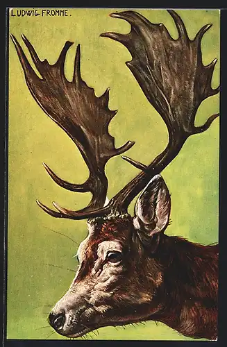 Künstler-AK Ludwig Fromme: Hirschkopf mit Geweih
