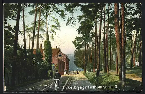 AK Halle /Saale, Gasthaus Waldkater in der Heide