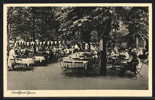 AK Gera, Restaurant Waldhaus, Gartenansicht, Inh. W. Dietz