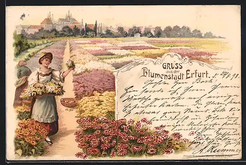 Lithographie Erfurt, Blumenfeld und Frau mit Blumenkorb