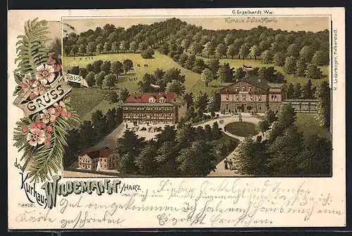 Lithographie Wildemann / Harz, Hotel-Kurhaus und Villa Maria