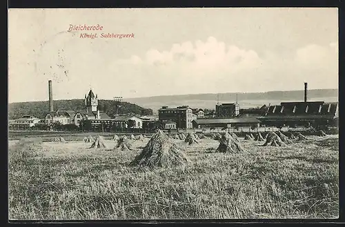AK Bleicherode, Königliches Salzbergwerk aus der Ferne gesehen