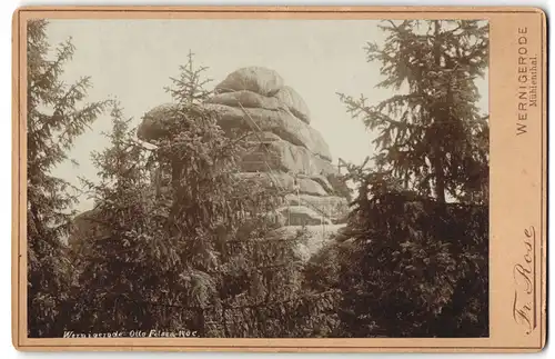 Fotografie Fr. Rose, Wernigerode, Ansicht Wernigerode, Blick nach dem Otto Felsen