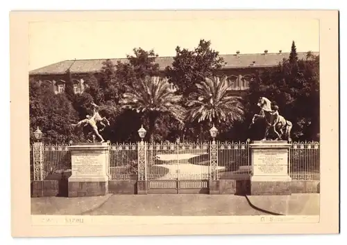 Fotografie G. Sommer, Napoli, Ansicht Napoli, cavallo di bronzo, Petersburger Rossebändiger
