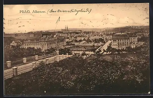 AK Prag / Praha, Albertow, Panorama