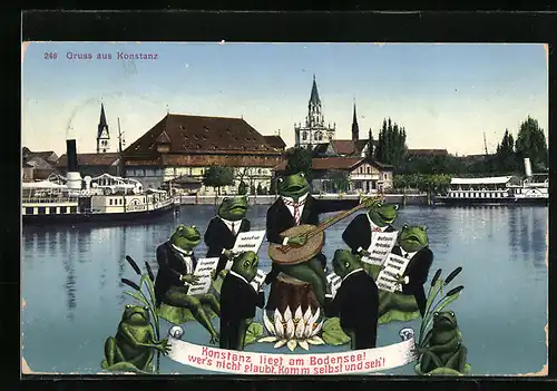AK Konstanz, Hafenpartie mit Froschkonzert