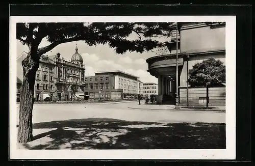 AK Pardubice, Strassenpartie mit Baum