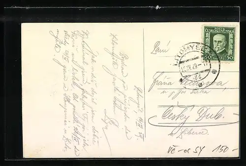 AK Leitomischl / Litomysl, Celkový pohled