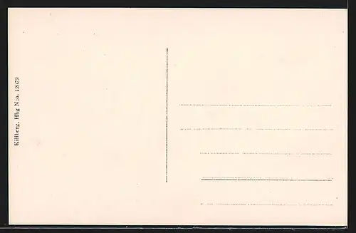 AK Hälsingborg, Radhuset och Stenbocksstatyn