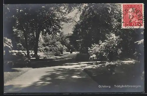 AK Göteborg, Trädgardsföreningen
