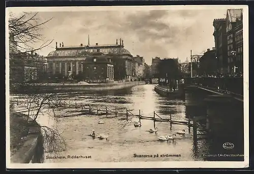 AK Stockholm, Riddarhuset, Svanorna pa strömmen