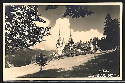 AK Sinaia, Castelul Peles