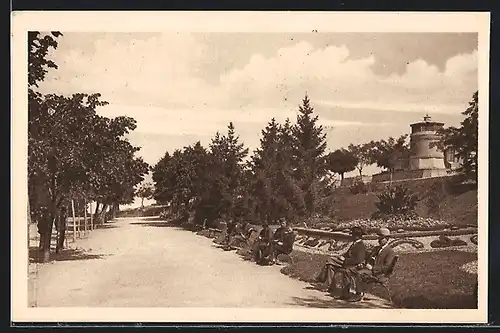 AK Belgrade, Park Kalimegdan