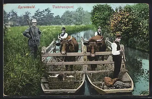AK Spreewald, Viehtransport in Booten