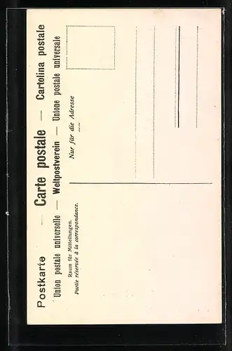 AK Hallwyl, Partie am Schloss