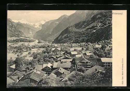 AK Wilderswil, Teilansicht mit Bergen