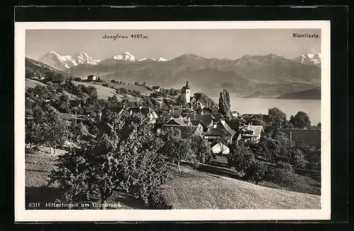 AK Hilterfingen am Thunersee, Ortsansicht mit Jungfrau und Blümlisalp