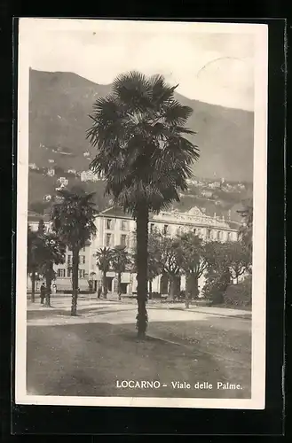 AK Locarno, Viale delle Palme