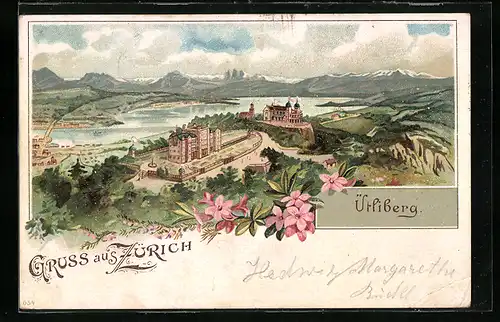 Lithographie Zürich, Panorama vom Ütliberg