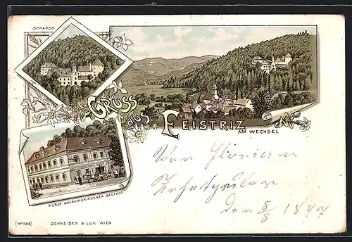 Lithographie Feistritz am Wechsel, Fürst Sulkowskirchner Gasthof, Schloss, Ortsansicht