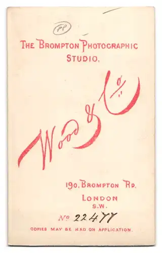 Fotografie Wood & Co., London, 190 Bromton rd., junge Engländerin im Kleid am Sekretär sitzend