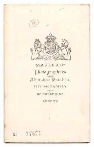 Fotografie Maull & Co., London, älterer Engländer im Anzug mit grauem Bart