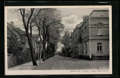 AK Mügeln, Franz-Seldte-Strasse mit Bäumen